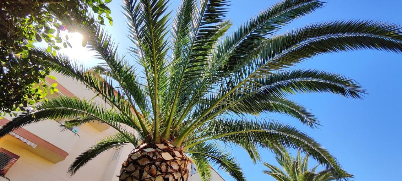 Apartamento La Marina By Denia Costa Eksteriør bilde